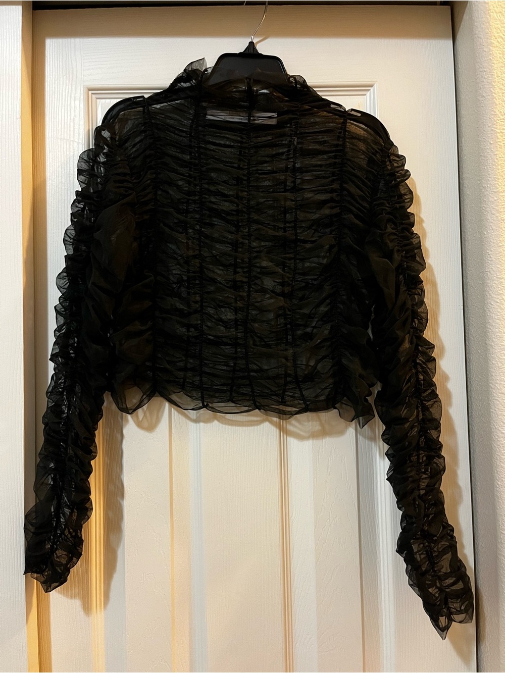 silence + noise Black Sheer Ruched Long-Sleeve Crop Blouse